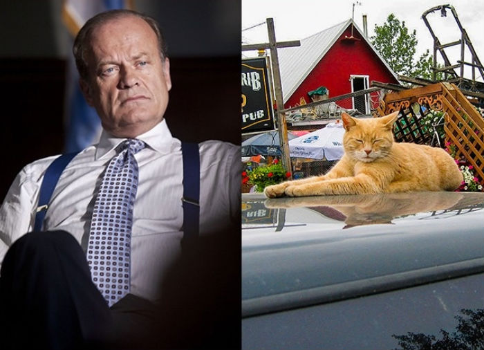 Эти 12 фотографий покажут, почему нельзя верить стереотипам - свежие новости на Toplenta по теме Мышление