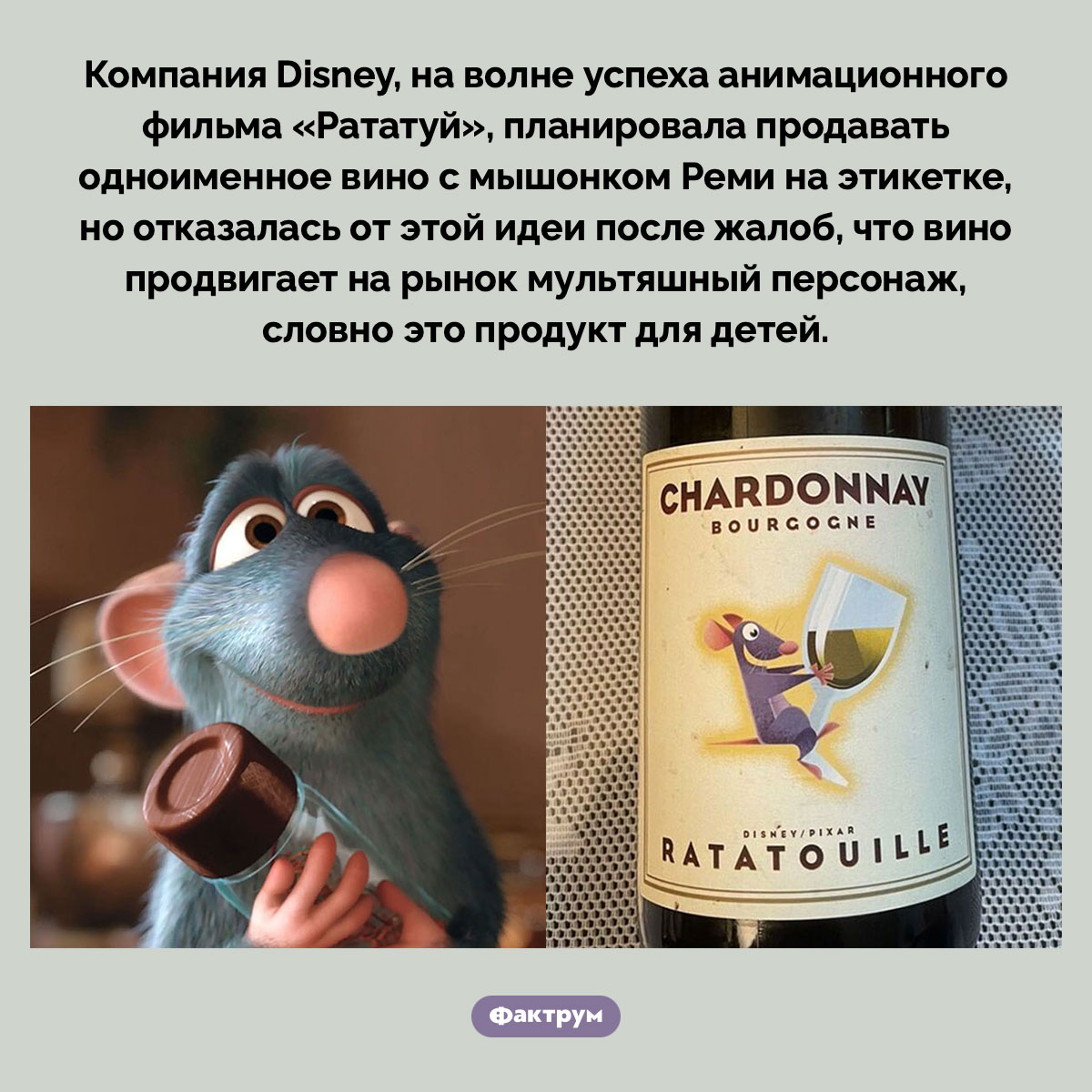 Вино для мышонка Реми - свежие новости на Toplenta