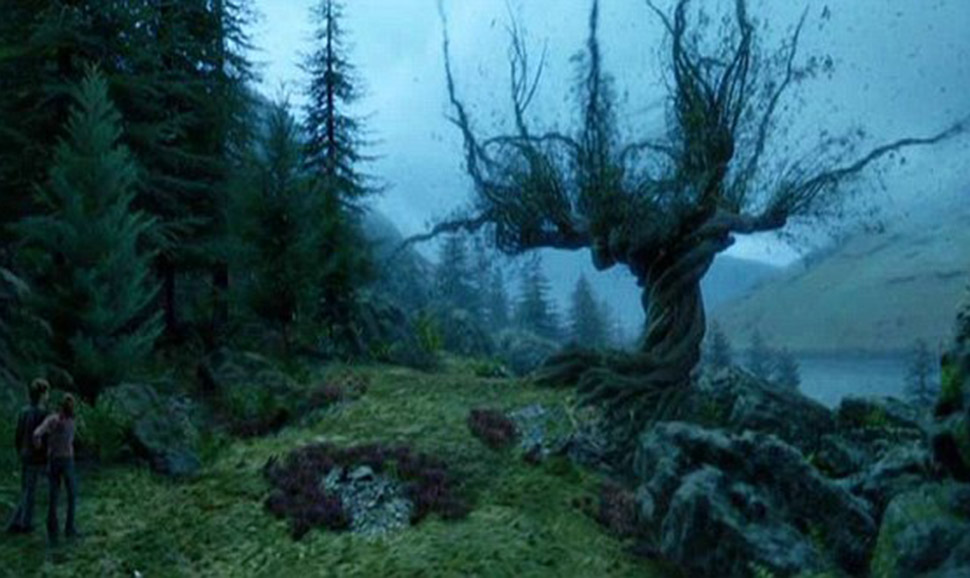 Самые известные в мире деревья, прославившиеся в кино, музыке и живописи - свежие новости на Toplenta