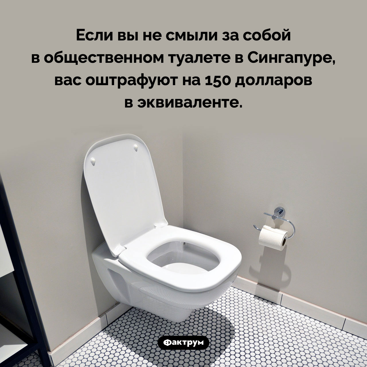 Штраф за несмытый унитаз - свежие новости на Toplenta по теме законы