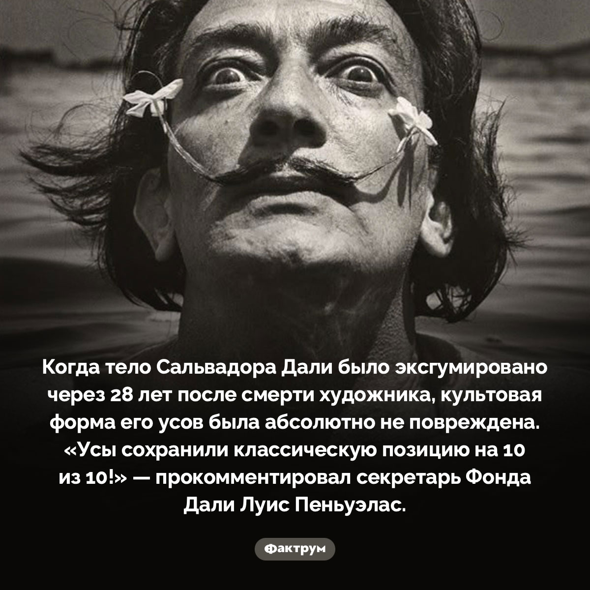 «Усы сохранили классическую позицию на 10 из 10!» - свежие новости на Toplenta
