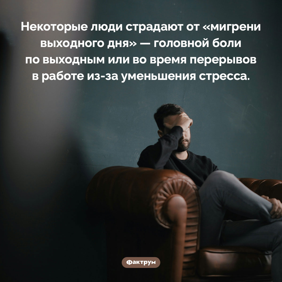 «Мигрень выходного дня» - свежие новости на Toplenta