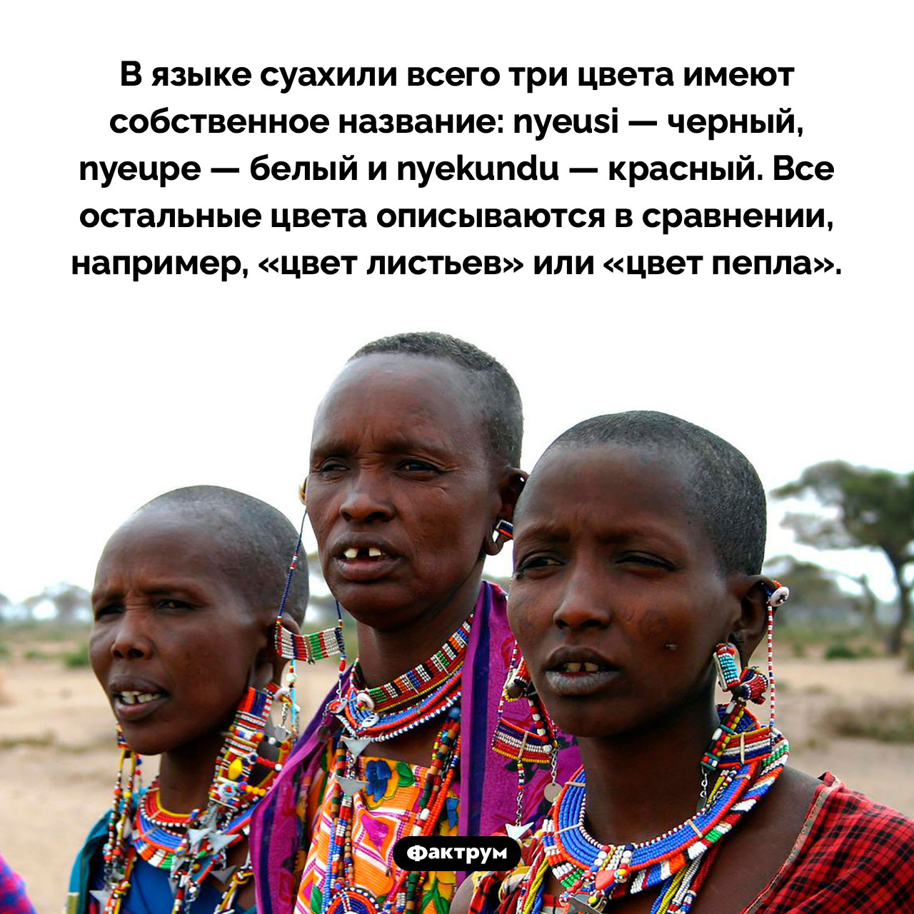 Цвета на суахили - свежие новости на Toplenta