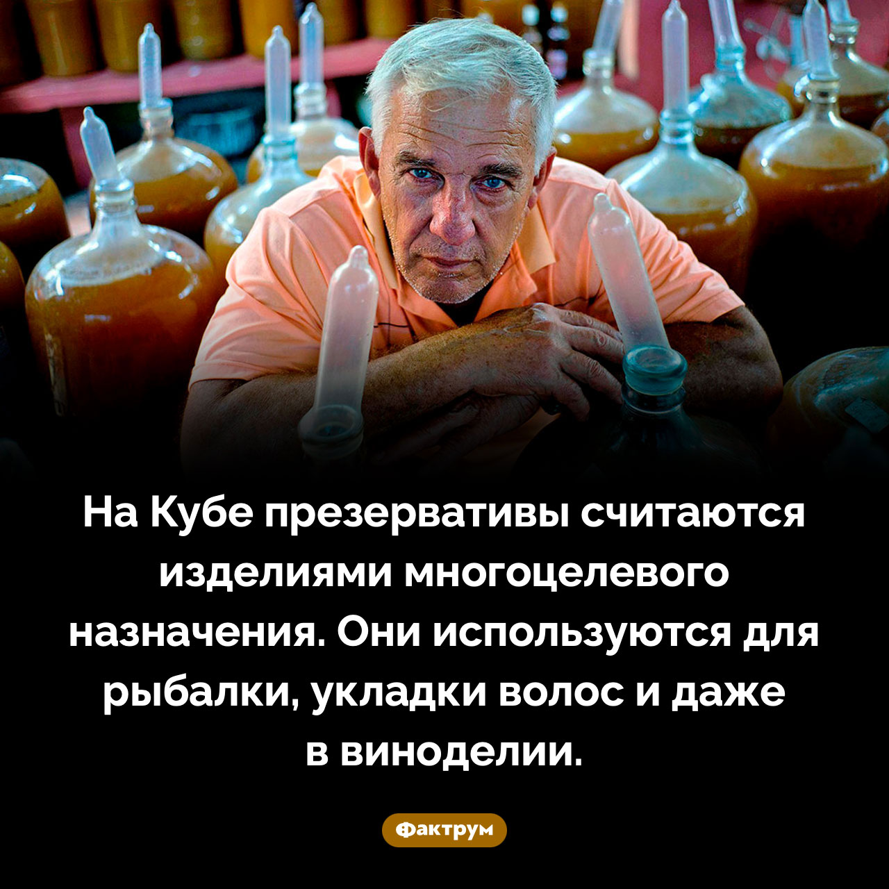 Изделия многоцелевого назначения - свежие новости на Toplenta