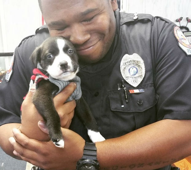 15 фотографий, которые сделают ваш день чуточку лучше - свежие новости на Toplenta