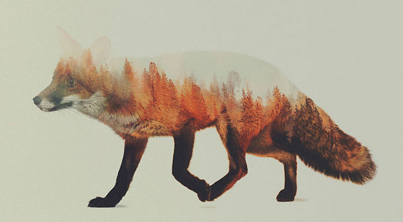 Лес внутри - свежие новости на Toplenta по теме Художник