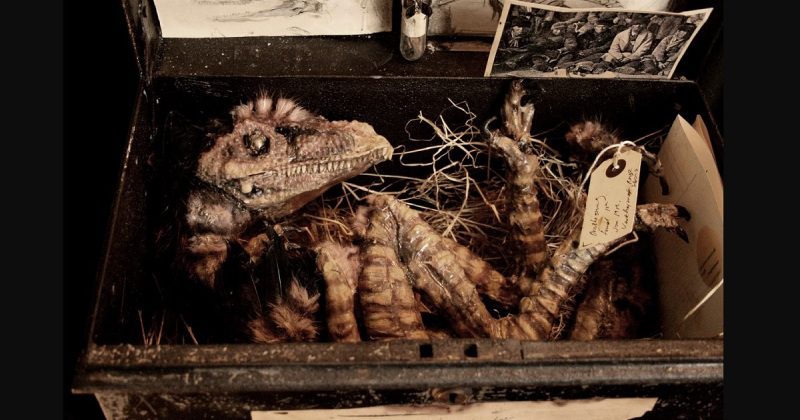 Загадка кошмарной коллекции Томаса Меррилина, путешественника во времени - свежие новости на Toplenta