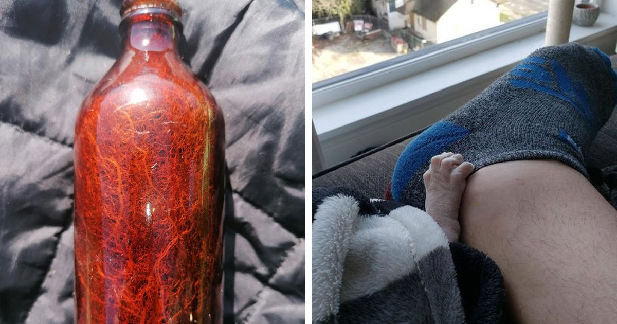 30 необычных фотографий, доказывающих, что мир полон загадок и удивительных вещей - свежие новости на Toplenta по теме бор