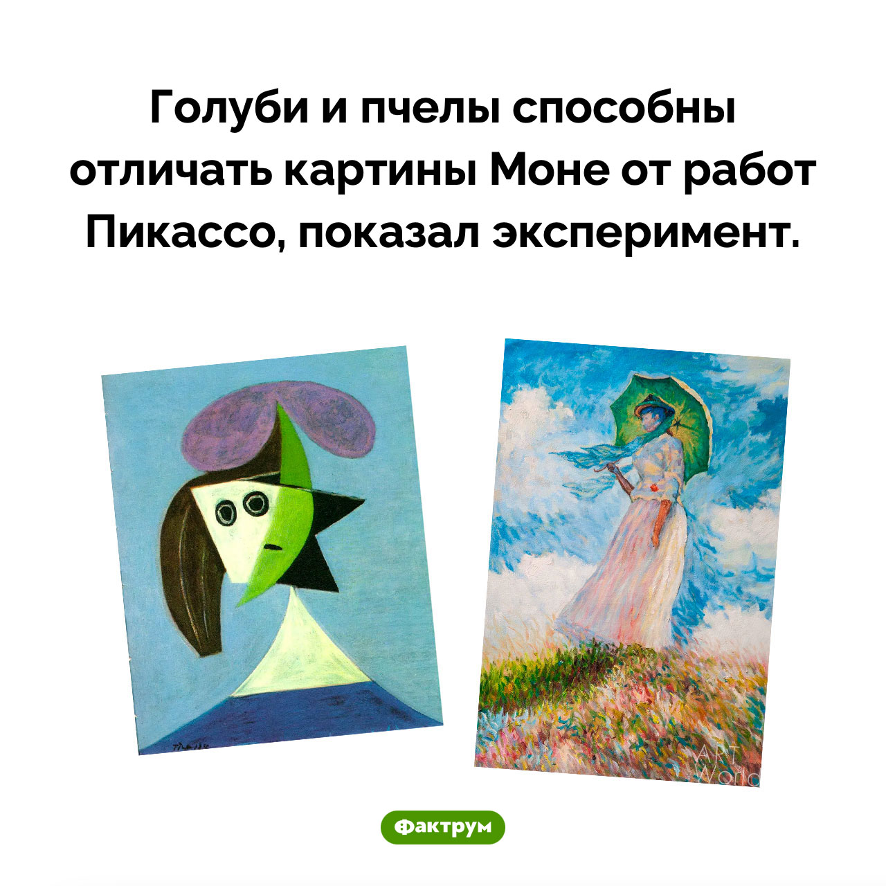 Удивительная способность пчел и голубей - свежие новости на Toplenta по теме Наук