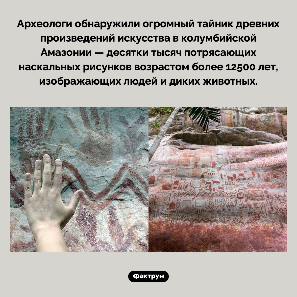 Десятки тысяч картин возрастом более 12500 лет - свежие новости на Toplenta по теме Наук
