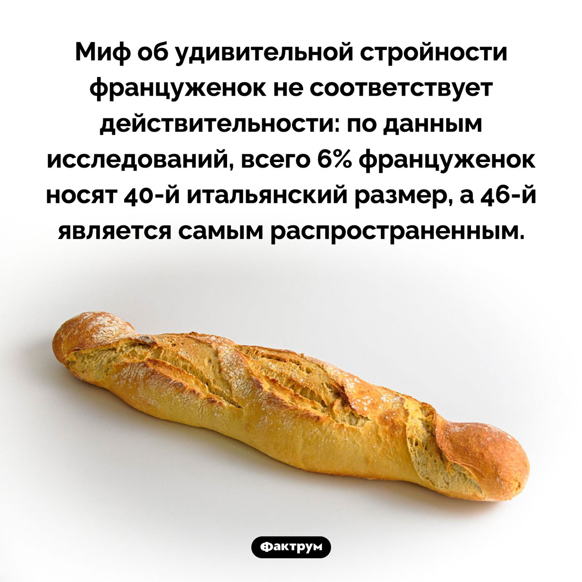 Француженки не очень стройные - свежие новости на Toplenta по теме 10.03.2024