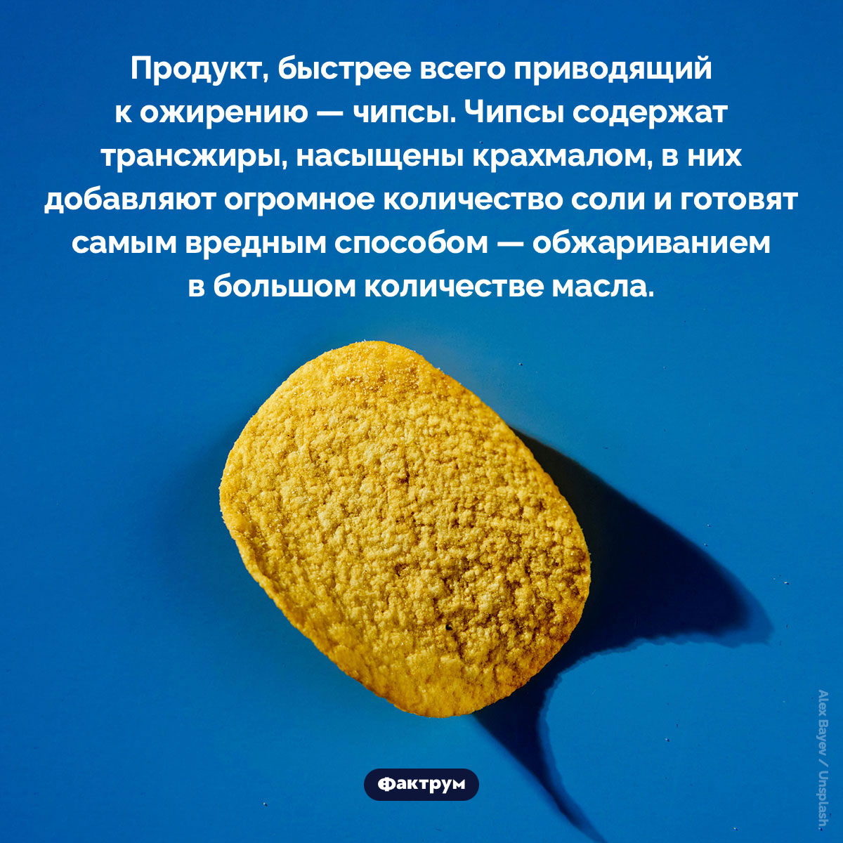 Продукт, быстрее всего приводящий к ожирению - свежие новости на Toplenta по теме Псы