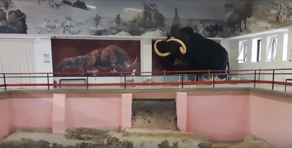 Презентация рок-оперы «Мамонт» состоялась в музее-заповеднике «Костенки» под Воронежем - свежие новости на Toplenta по теме город Воронеж г.о. [95241116]