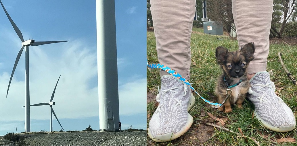 22  вещи, размер которых осознается лишь в сравнении - свежие новости на Toplenta по теме под