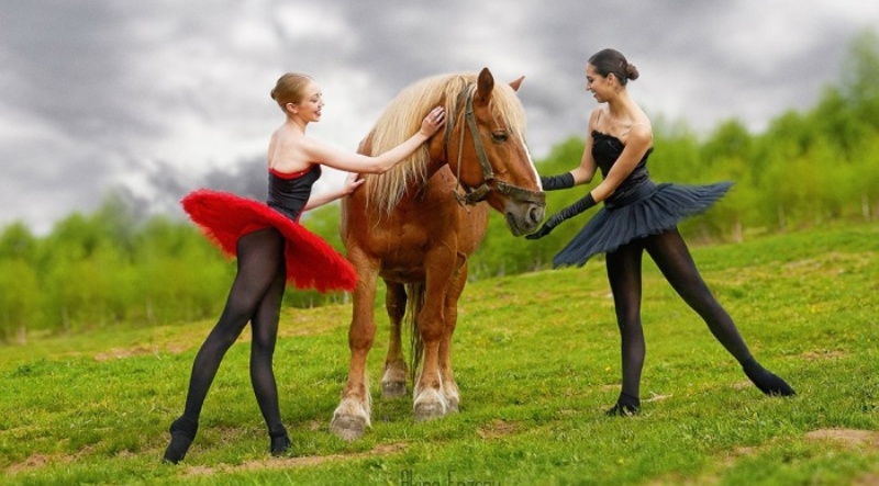 Балет, грация и страсть в работах румынского фотографа Акиры Энзеру - свежие новости на Toplenta по теме тер. СНТ Русский балет [662317]