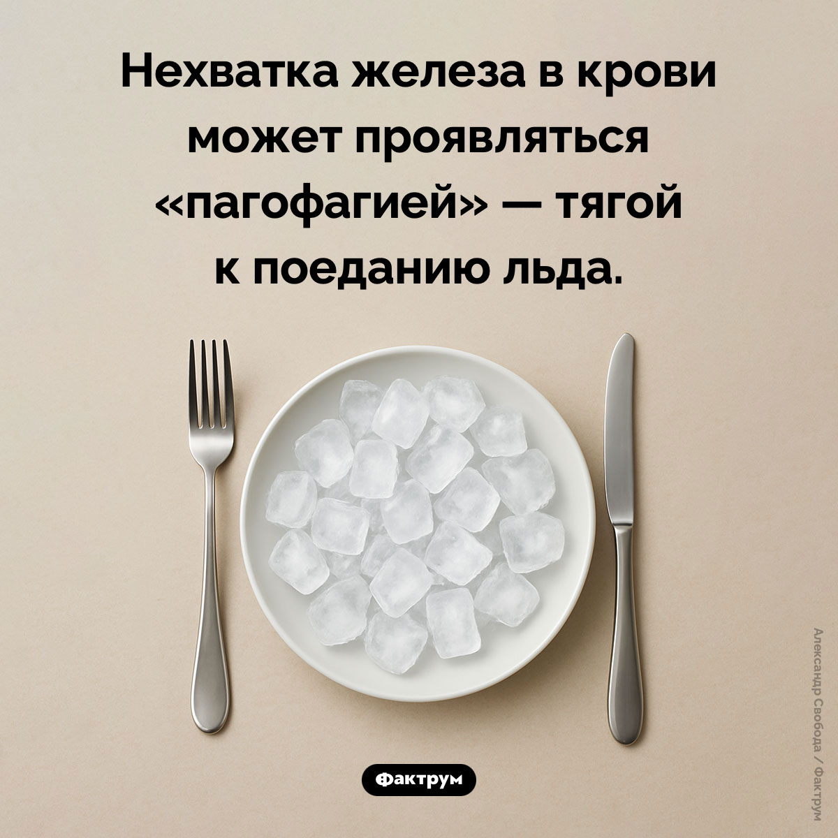 Если вы любите грызть лёд, возможно, у вас анемия - свежие новости на Toplenta по теме Факты в картинках