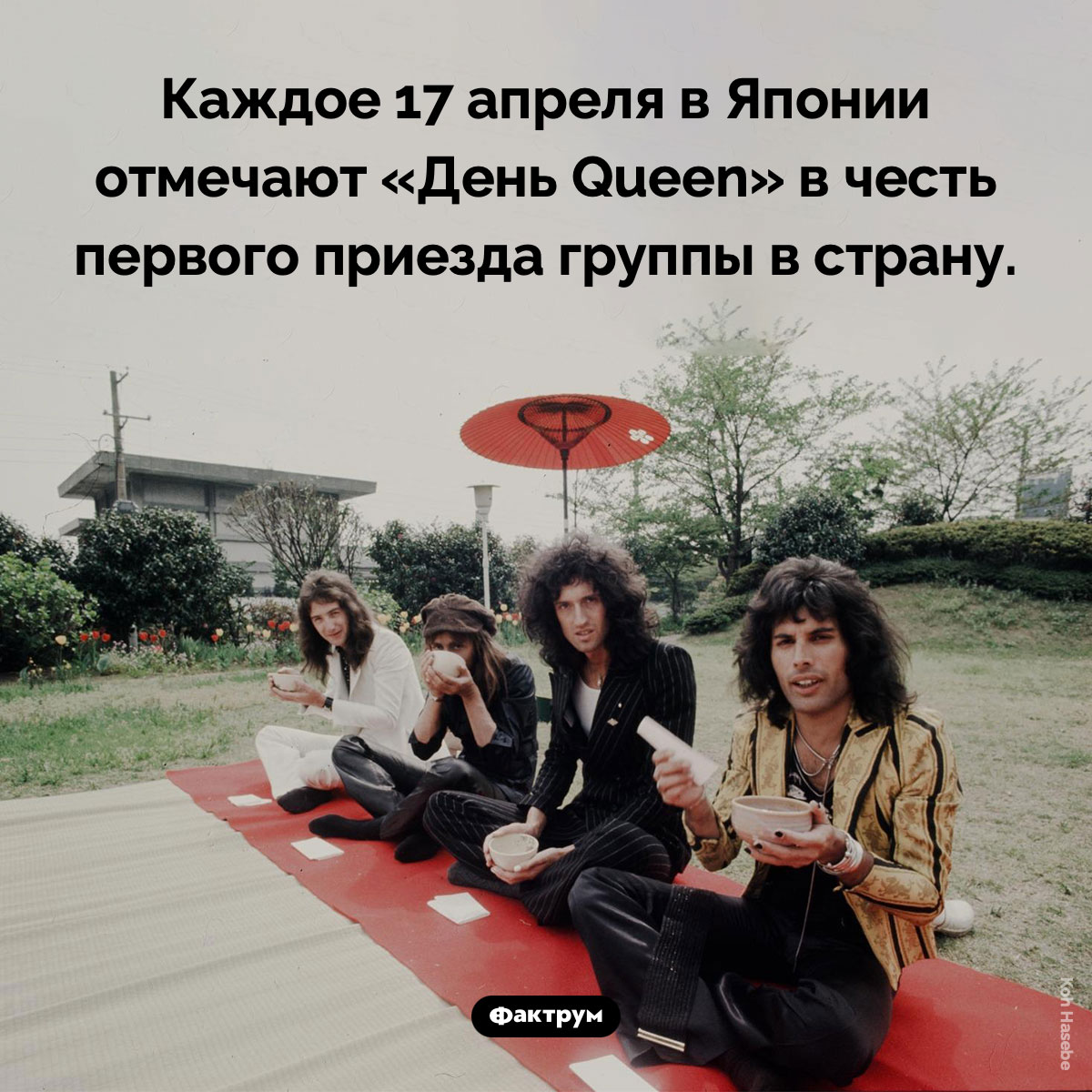«День Queen» - свежие новости на Toplenta