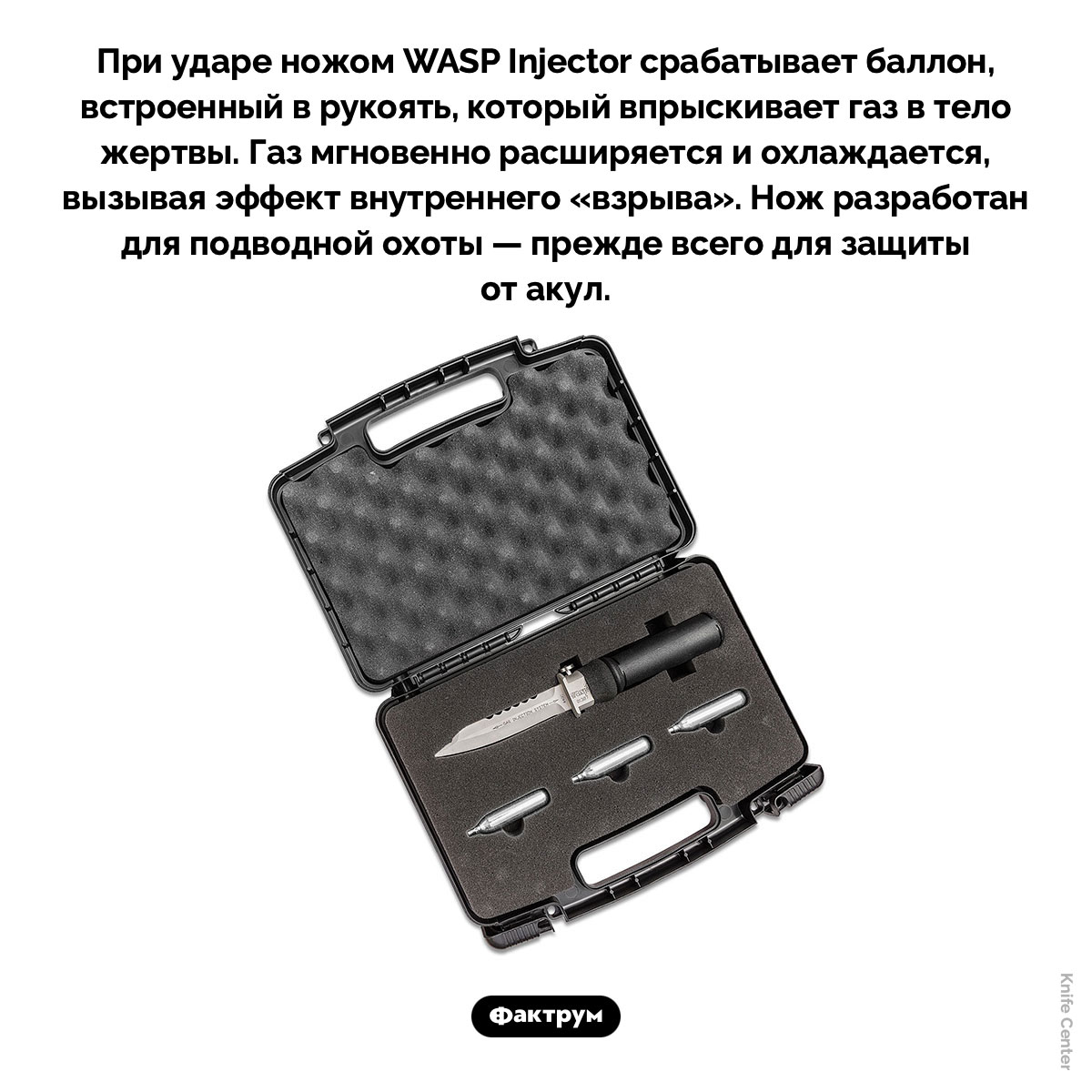 Нож, разрывающий изнутри - свежие новости на Toplenta по теме Факты в картинках