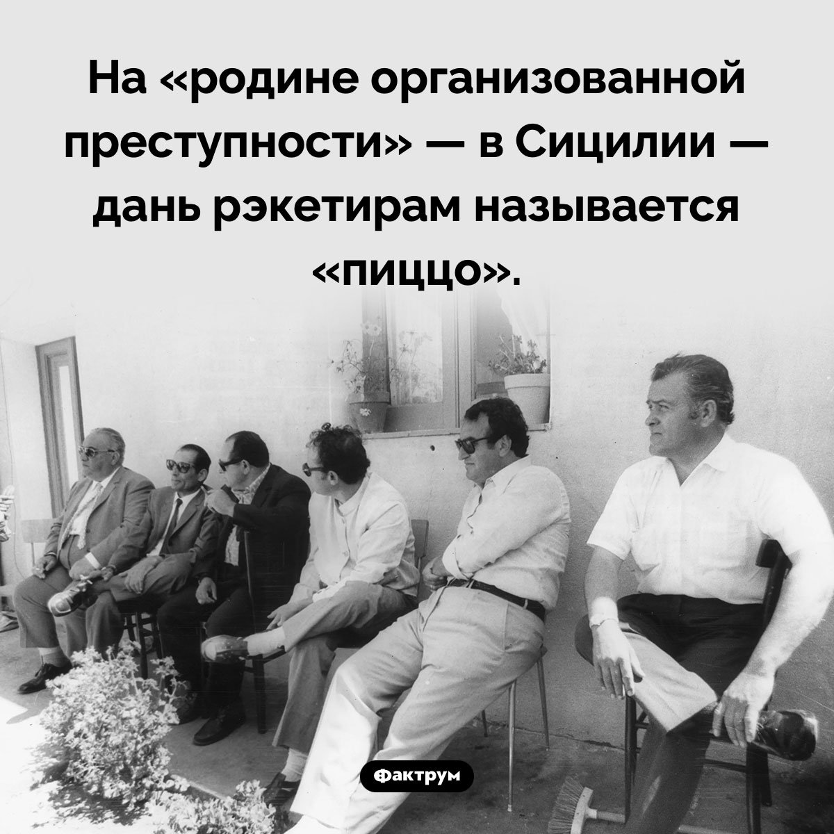 Что сицилийская мафия называет «пиццо» - похожая новость на Toplenta