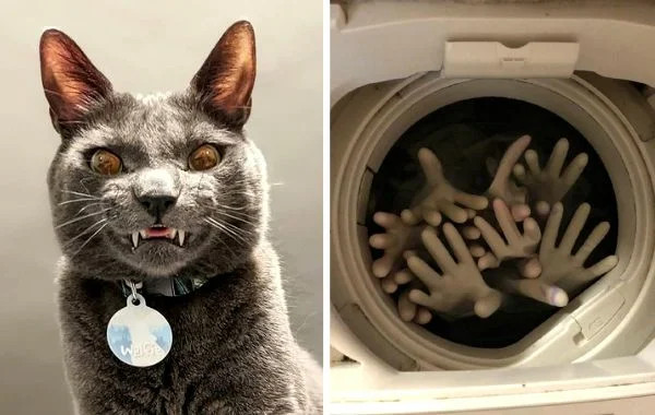 22 странных фото, после которых страшно ложиться спать - свежие новости на Toplenta по теме под