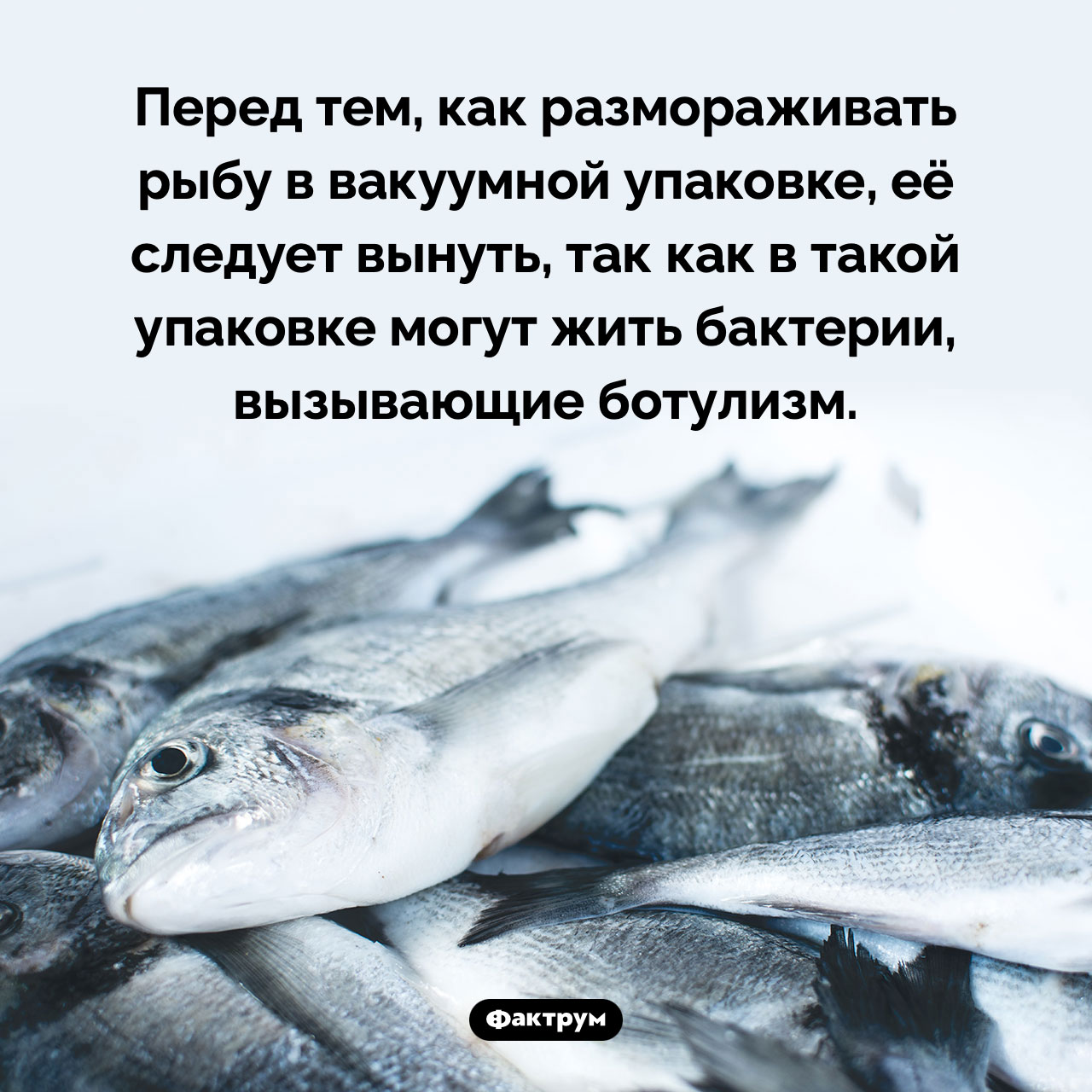 Как правильно размораживать рыбу в вакуумной упаковке - свежие новости на Toplenta по теме бактерии
