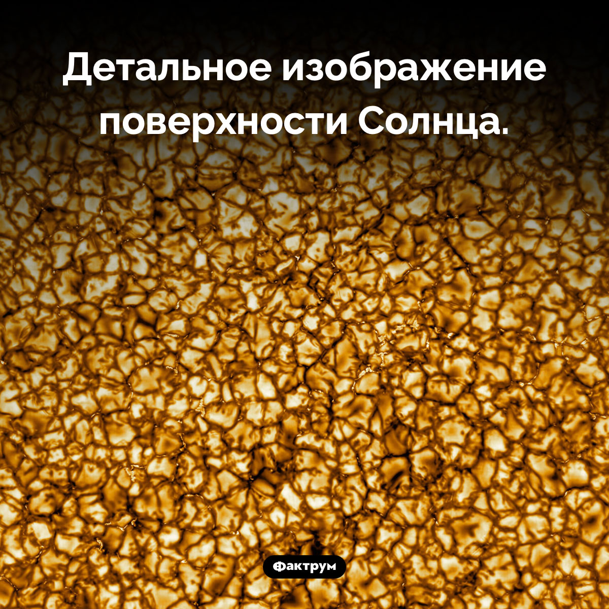 Фотография поверхности Солнца - свежие новости на Toplenta по теме Наук