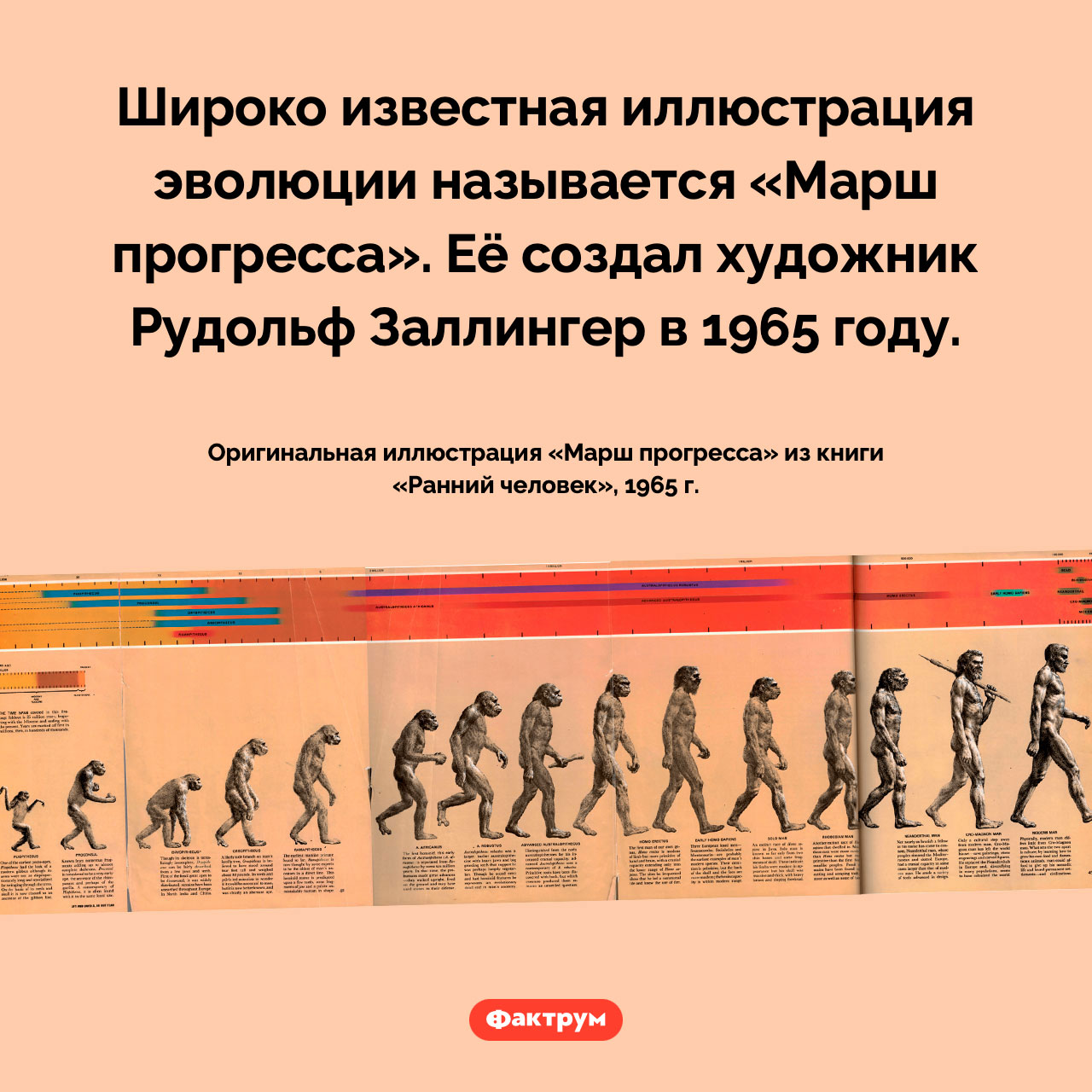 Как называется иллюстрация эволюции - свежие новости на Toplenta по теме Наук