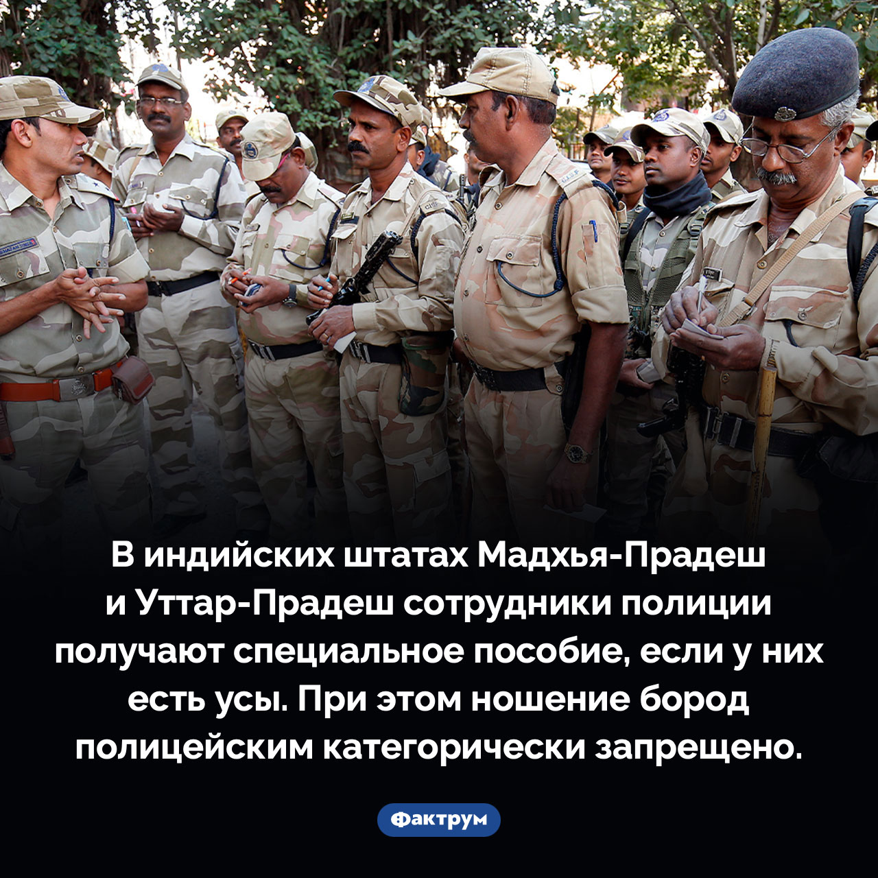 Пособие на усы - свежие новости на Toplenta по теме По