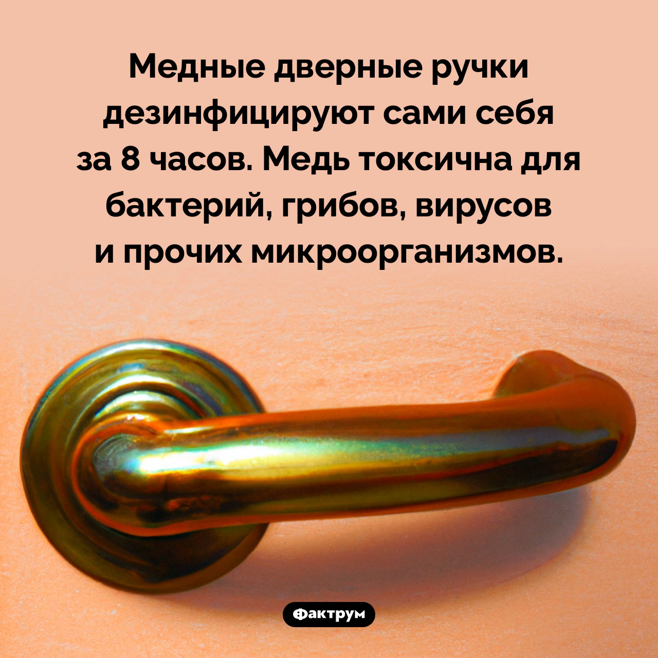 Медные дверные ручки дезинфицируют сами себя - свежие новости на Toplenta по теме 03.04.2024