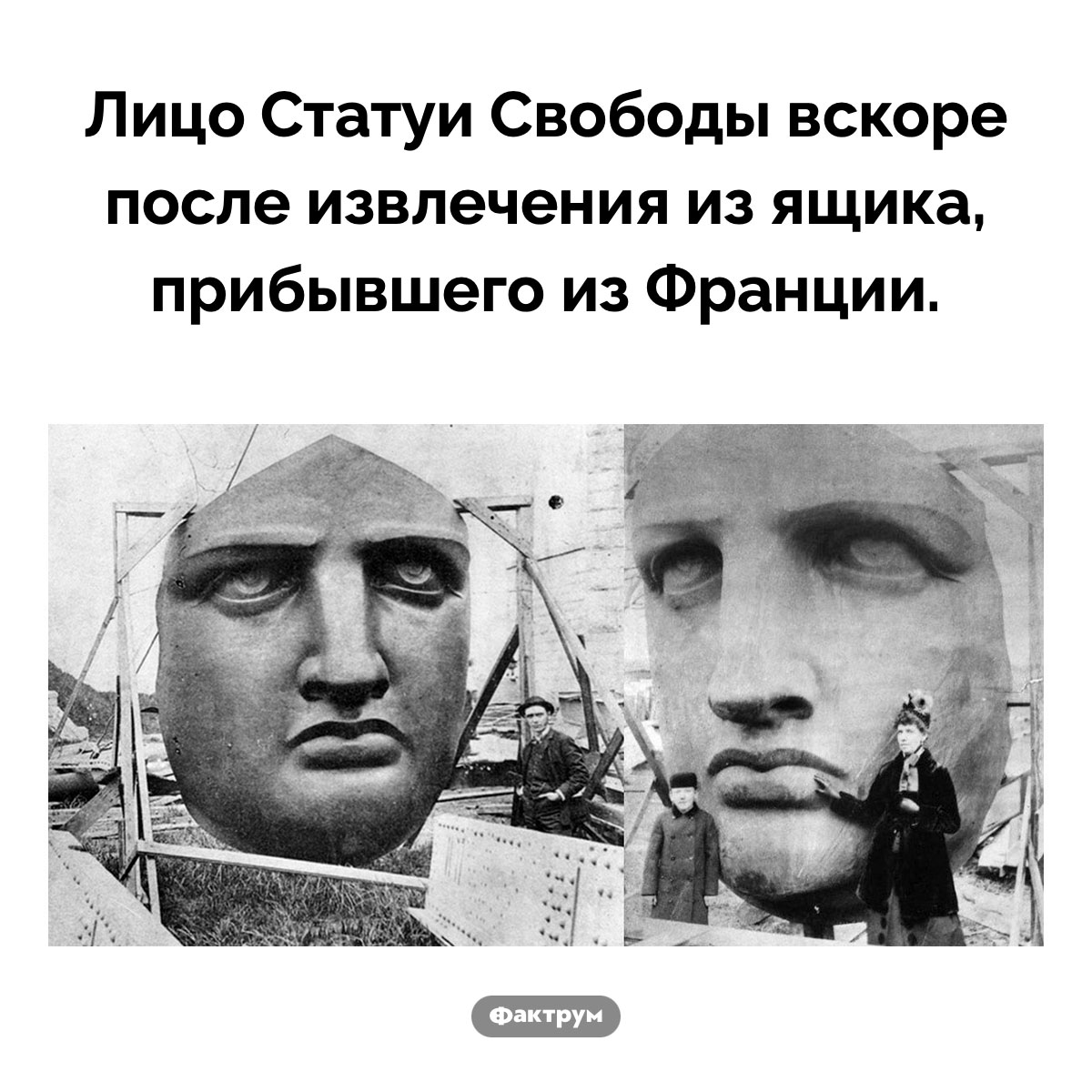 Распаковка Статуи Свободы - свежие новости на Toplenta по теме статуя