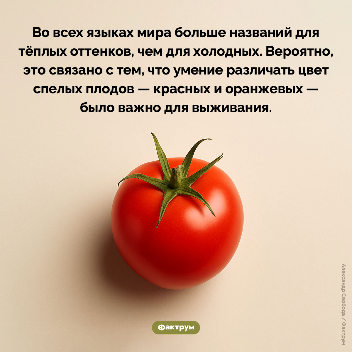 Теплые и холодные цвета - свежие новости на Toplenta по теме Факты в картинках