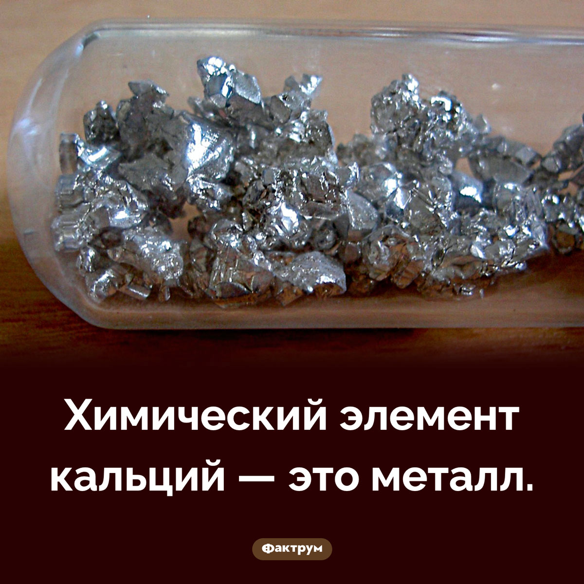 Чем является кальций - свежие новости на Toplenta по теме Факты в картинках