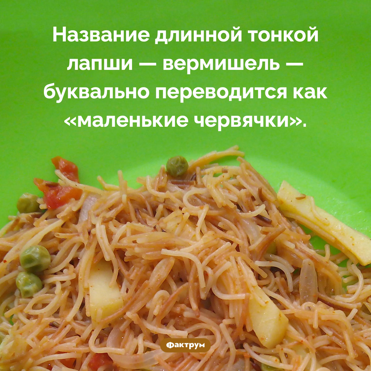 Вермишель — это «маленькие червячки» - свежие новости на Toplenta по теме названия