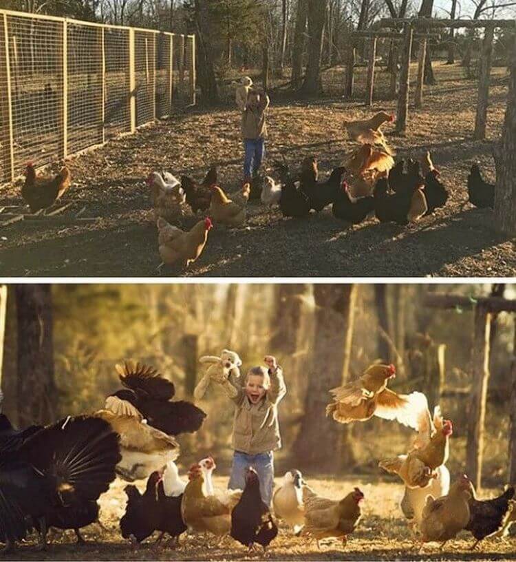 Зрение фотографа Vs. Зрение любителя: 10 примеров мастерства профессионала - свежие новости на Toplenta по теме Вдохновения