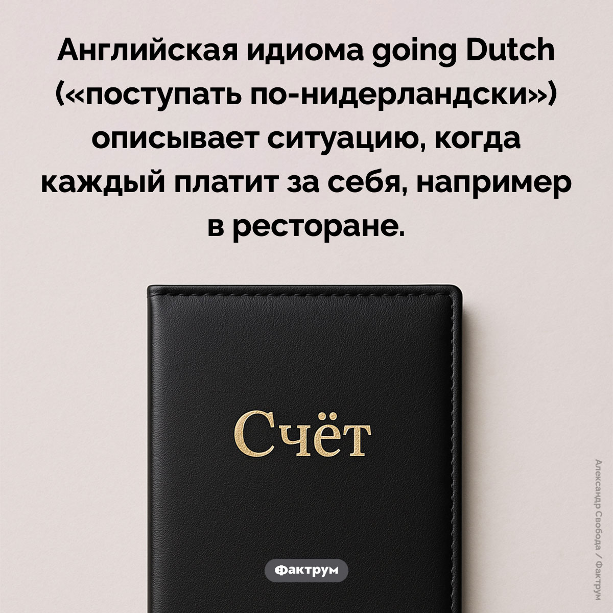 Поступать по-нидерландски - свежие новости на Toplenta по теме Факт