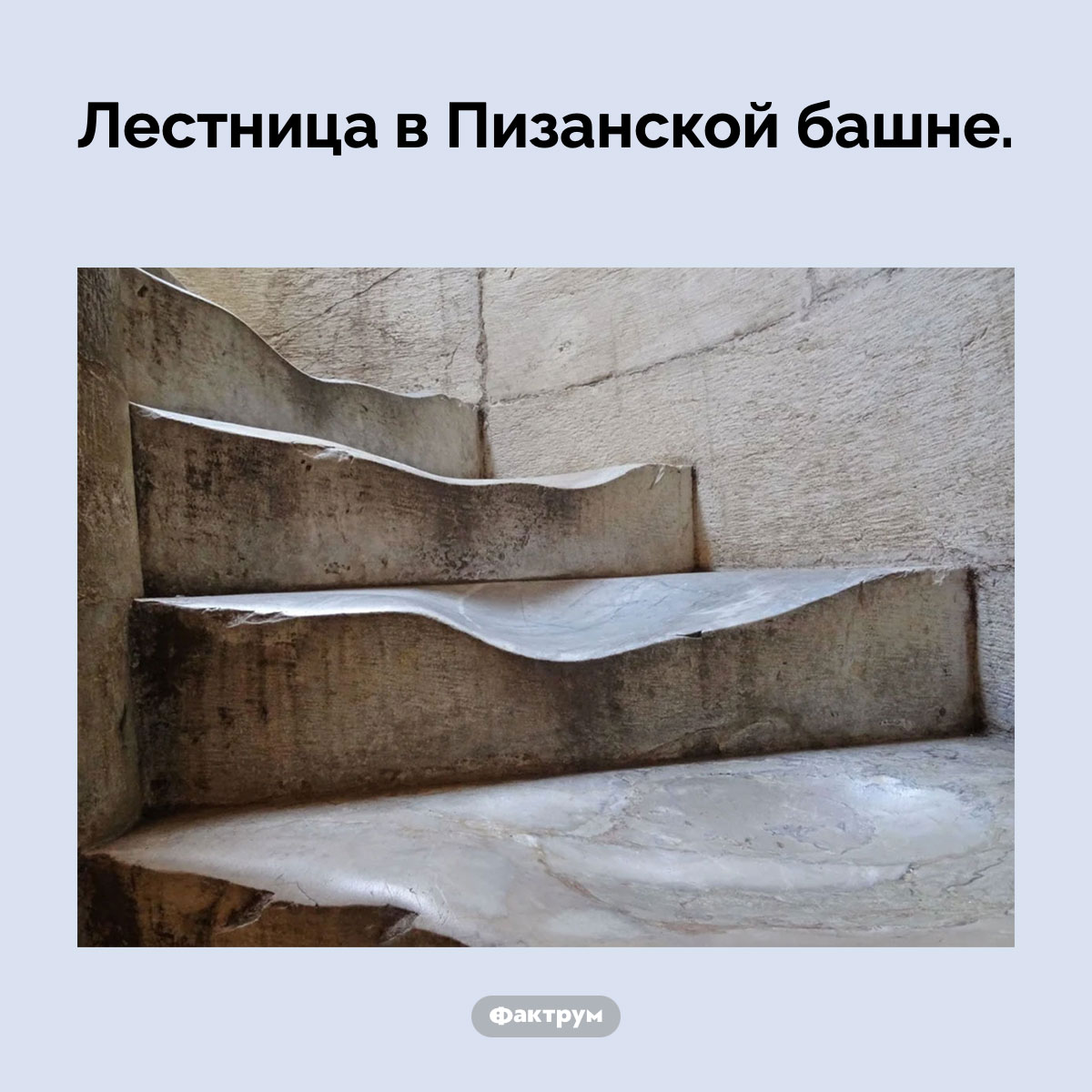 Лестница в Пизанской башне - свежие новости на Toplenta по теме 02.08.2025