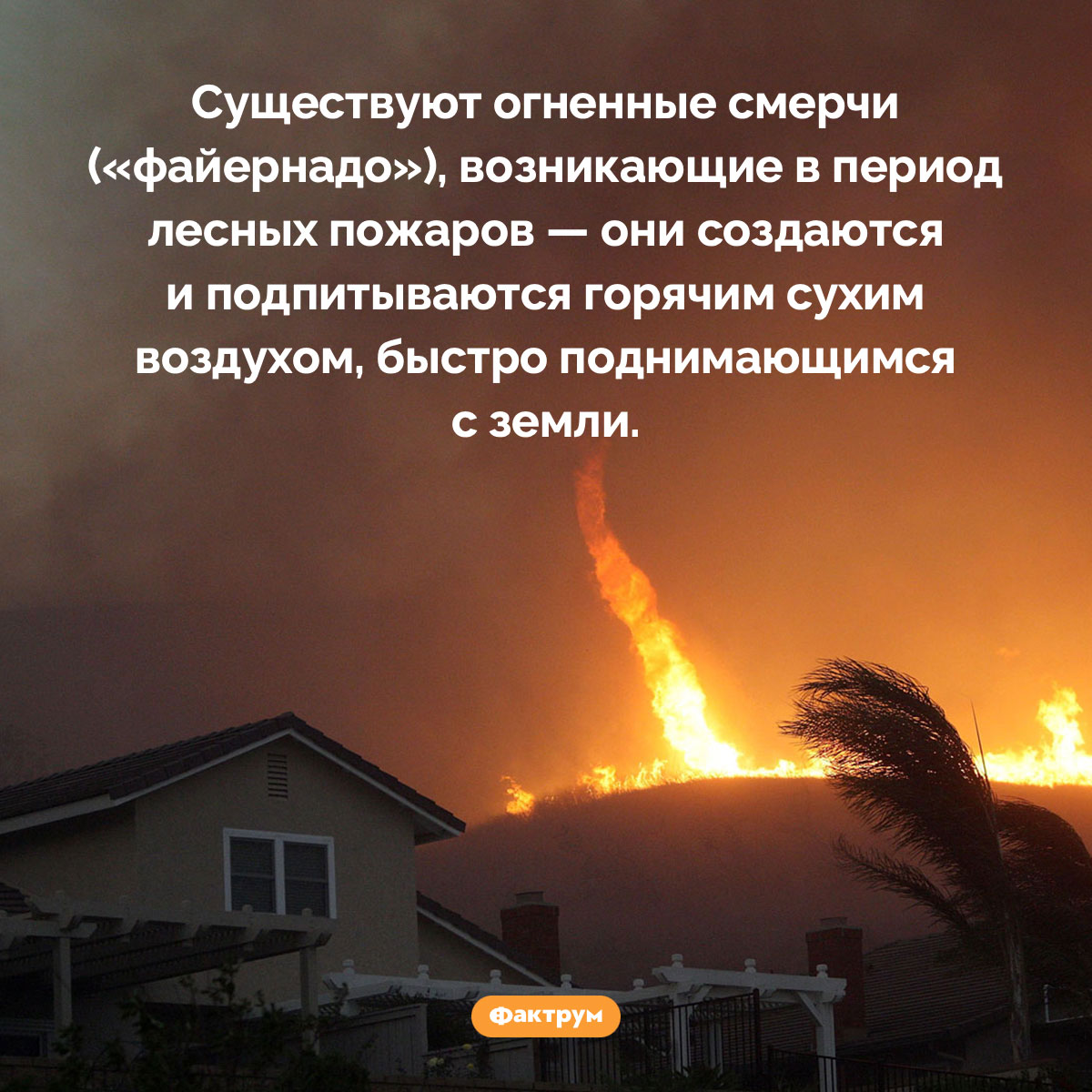 Что такое «файернадо» - свежие новости на Toplenta по теме 02.11.2022