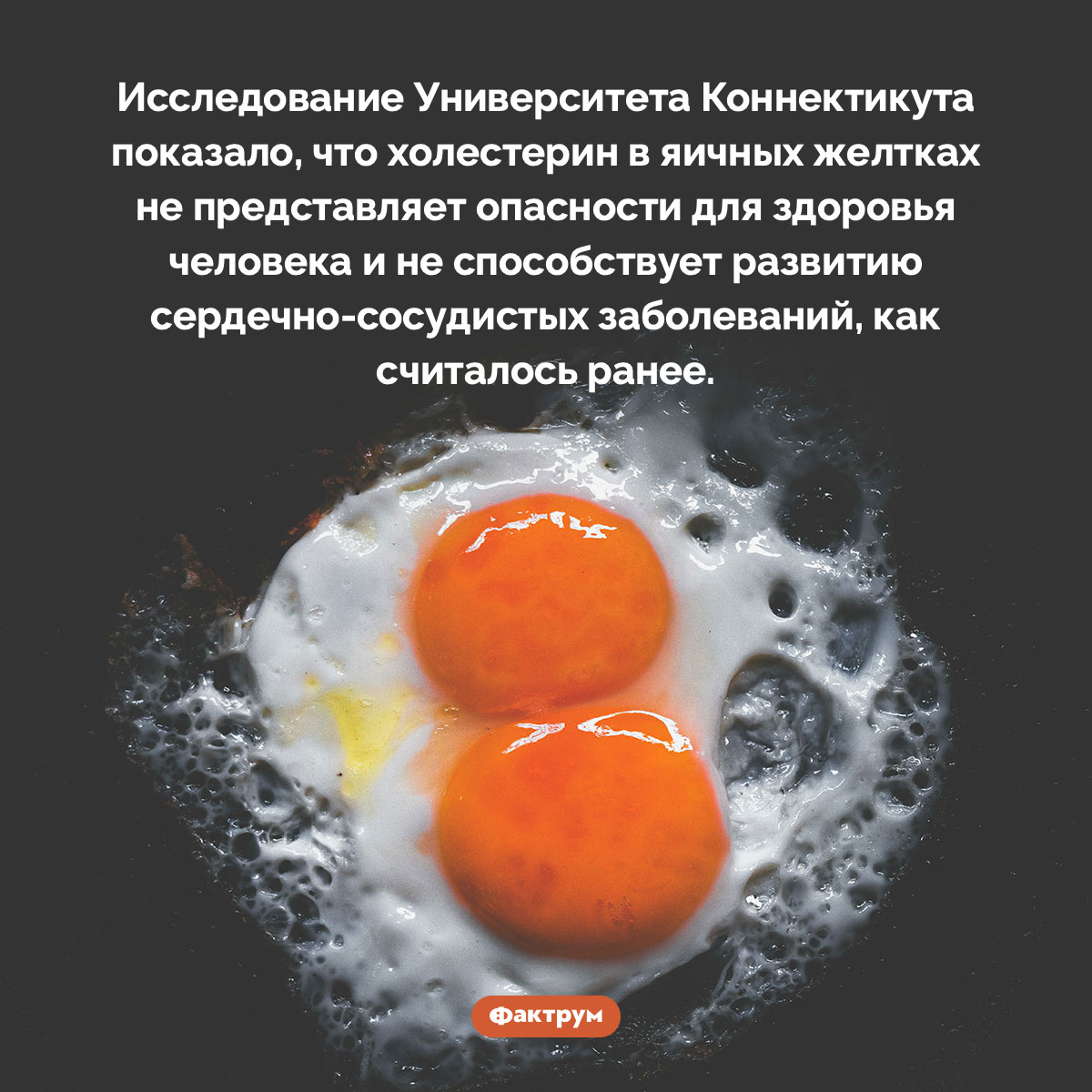 Яичные желтки не содержат вредный холестерин - свежие новости на Toplenta