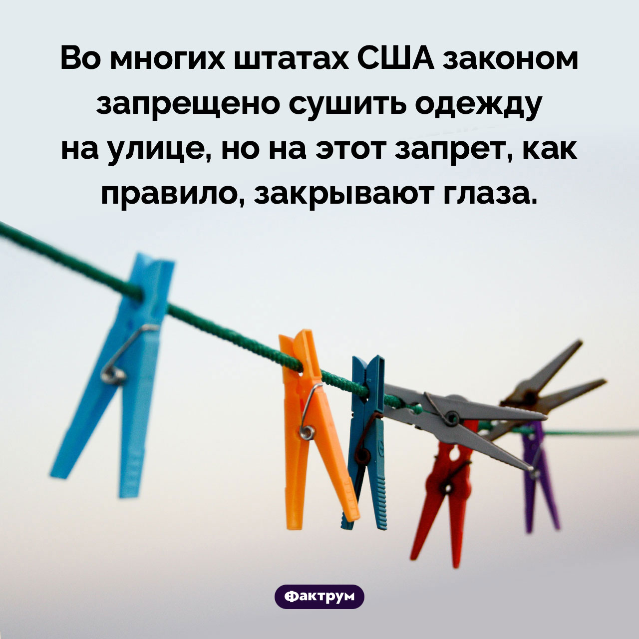 В США запрещена сушка одежды на улице - свежие новости на Toplenta по теме 18.05.2024