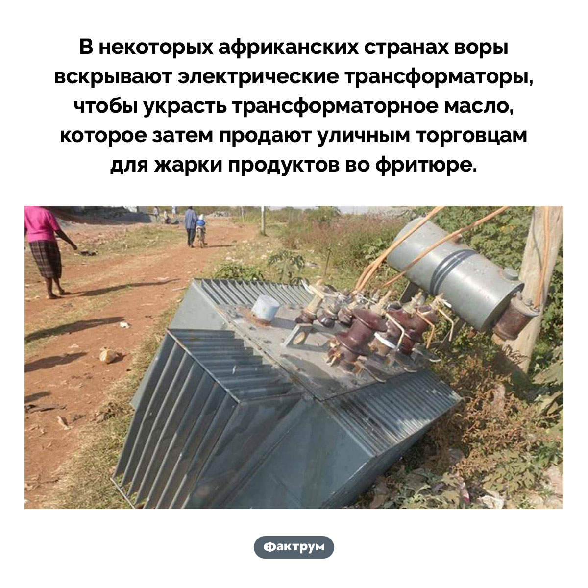 Трансформаторное масло для фритюра - свежие новости на Toplenta по теме Факты в картинках