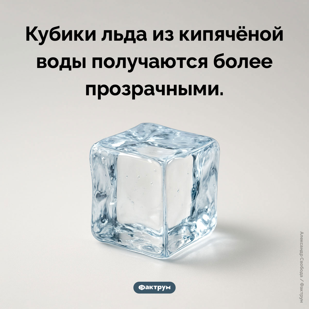 Лёд из кипячёной воды - свежие новости на Toplenta по теме Факты в картинках