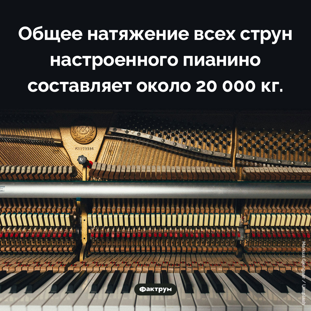 Натяжение струн пианино - свежие новости на Toplenta