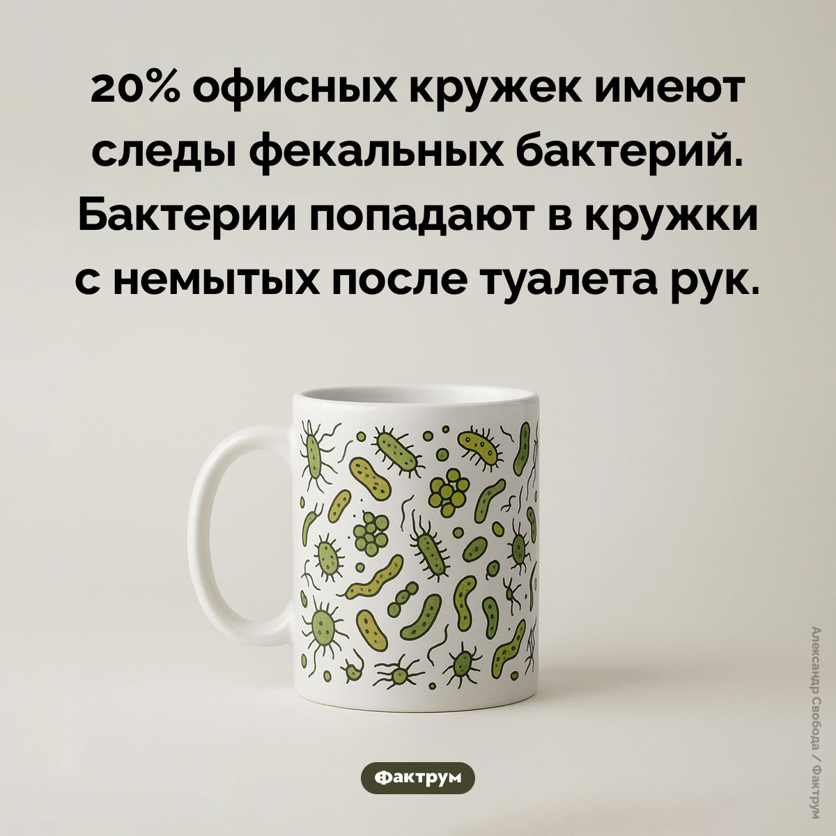 Следы фекальных бактерий на офисных кружках - похожая новость на Toplenta
