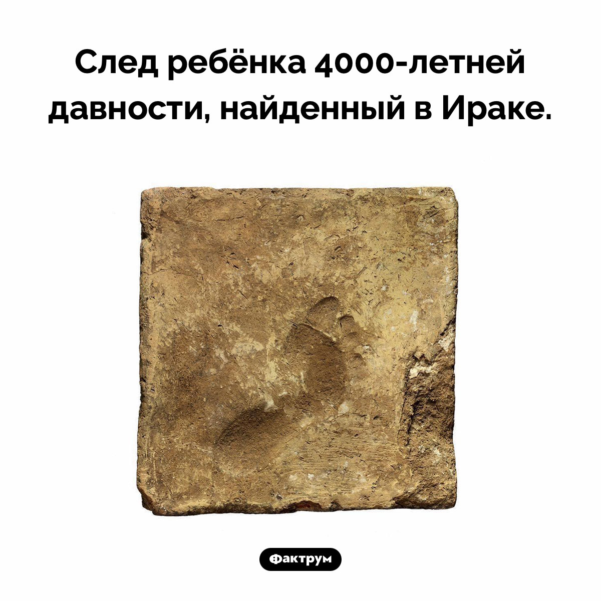 4000-летний след ребёнка - свежие новости на Toplenta по теме Наук