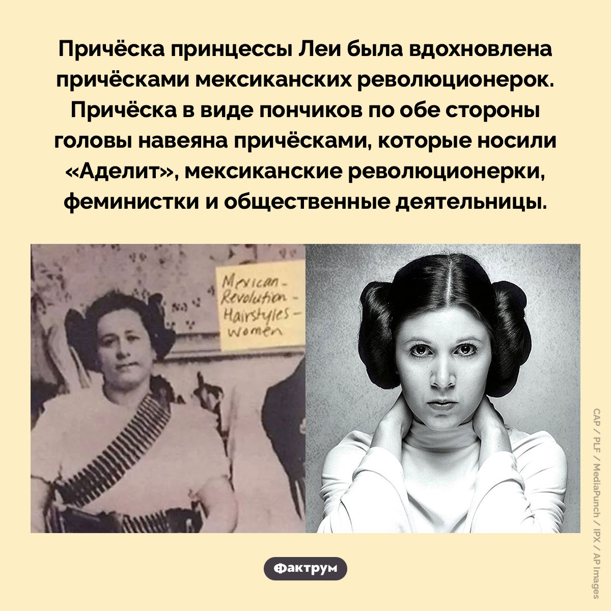 Причёска принцессы Леи - свежие новости на Toplenta