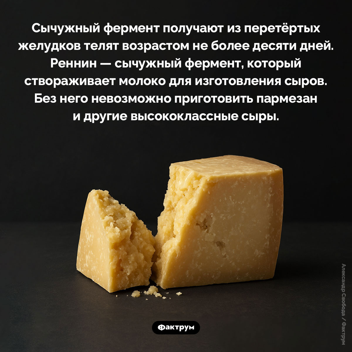 Как получают сычужный фермент - похожая новость на Toplenta