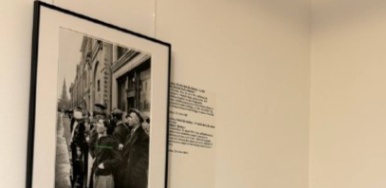 Дрезден почтил память Победы выставкой советского фотографа  Евгения Халдея - свежие новости на Toplenta по теме германия