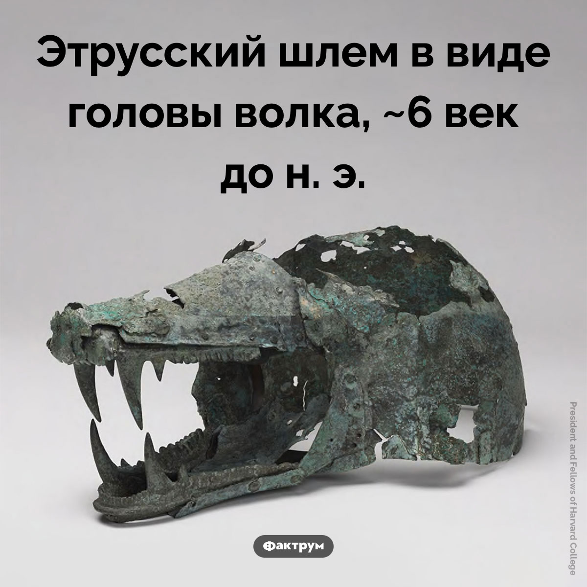 Этрусский шлем - свежие новости на Toplenta по теме Наук