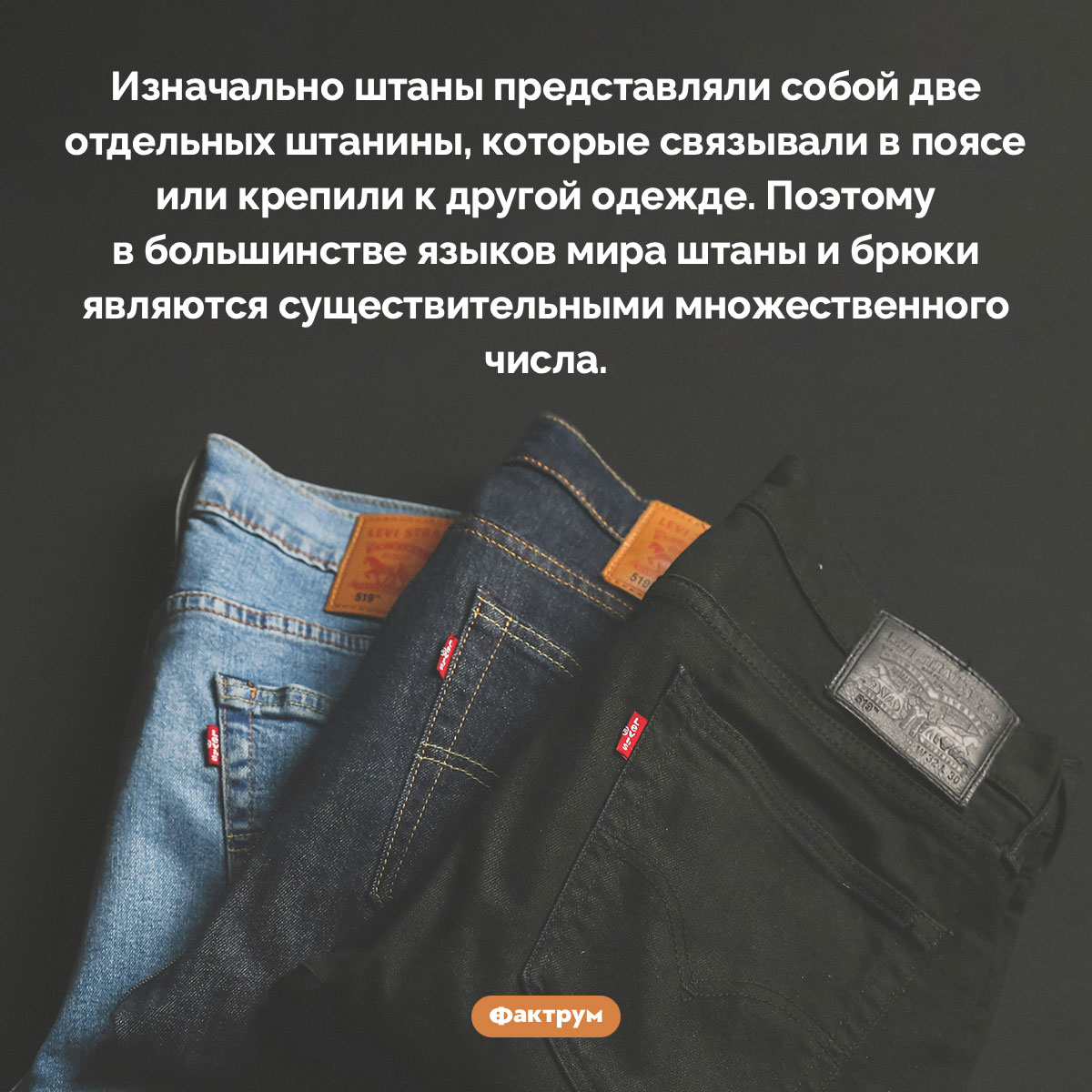 Почему слово «штаны» множественного числа - свежие новости на Toplenta