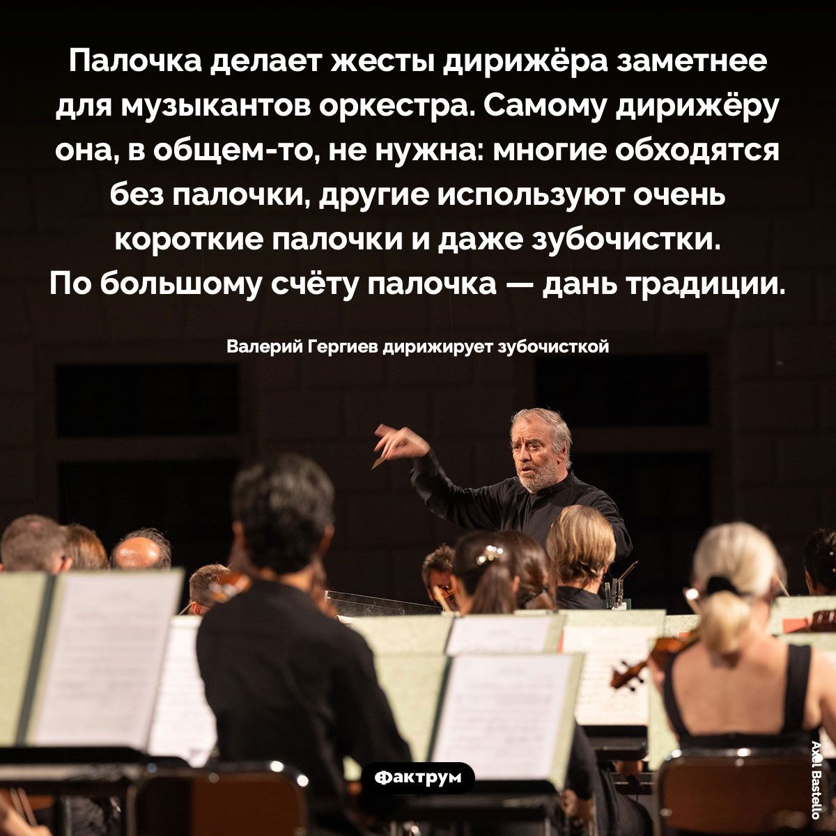Зачем дирижёру нужна палочка - свежие новости на Toplenta